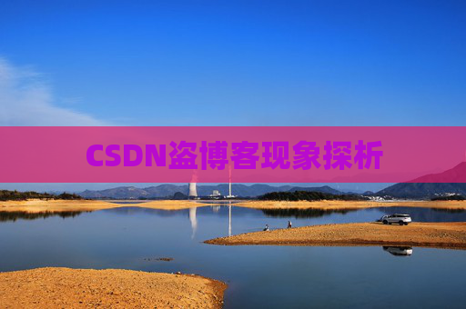 CSDN盗博客现象探析 CSDN盗博客现象探析